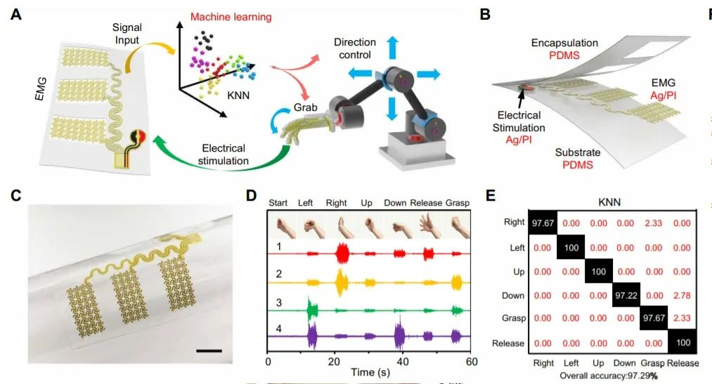 Science Robotics封面：加州理工团队用电子皮肤控制机械臂，还能赋予多模式感知！