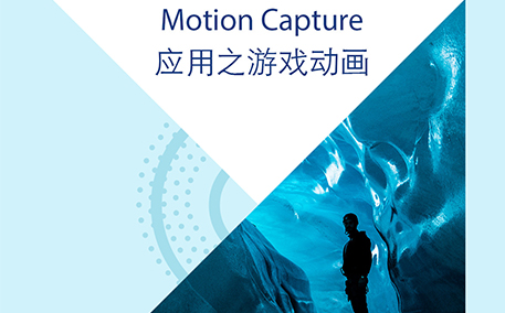 Motion Capture应用之游戏动画